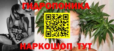 прущие крисы Ярцево