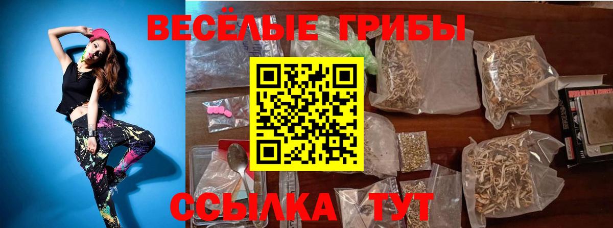 Псилоцибиновые грибы GOLDEN TEACHER  Вход с VPN  где продают   Ахтубинск 